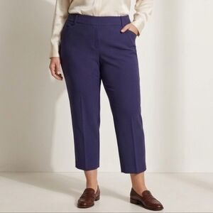 Pennington's Savvy Fit Pants Navy Petite Plus Size  SZ 24P